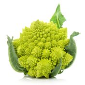 Romanesco  232x176