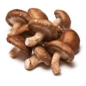 Shiitake  232x176