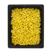 Mango gesneden blokjes 10 mm  232x176