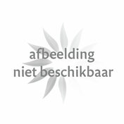 Chocolade kerststerren melk/wit/puur 232x176