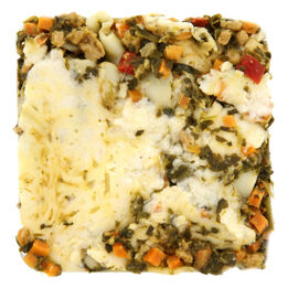 Vega lasagne sous vide  261x261