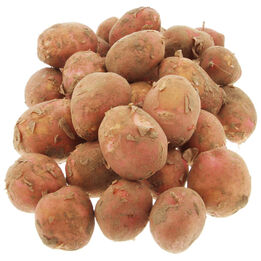 Aardappel bildstar  261x261