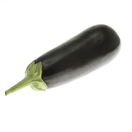 Aubergine  261x261