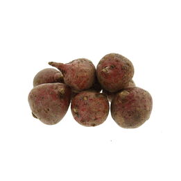 Chioggia bieten  261x261