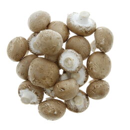 Kastanjechampignons  261x261