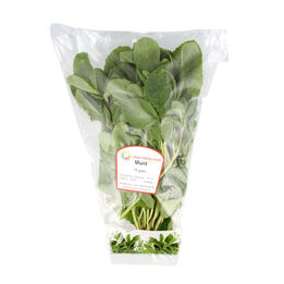 Groene munt  261x261