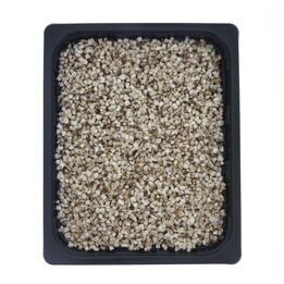 Champignons gesneden blokjes 5 mm  261x261