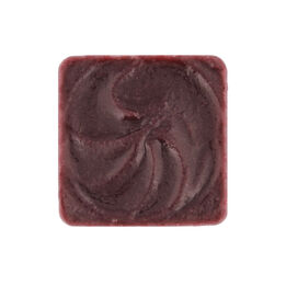 Rode kool met appel gladgemalen sous vide  261x261