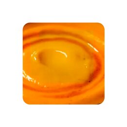 Gebonden pompoensoep sous vide  261x261