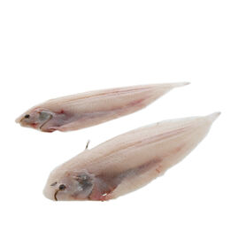 Slibtong 100 - 130 gram  261x261