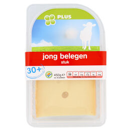 Goudse kaas jong belegen 30+ stuk  261x261