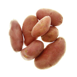 Aardappel roseval  261x261